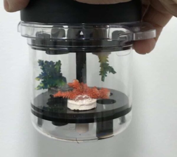 Insulated Frag Transport - Building an Obsession - Image 3