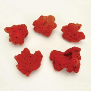 Red Ball Sponge