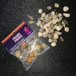 F2F Hermit Homes - Hermit Crab Shells - Image 2