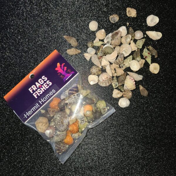 F2F Hermit Homes - Hermit Crab Shells - Image 2