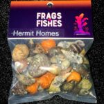 F2F Hermit Homes - Hermit Crab Shells