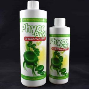 AlgaGen - PhycoPure Green Water  - Live Feeds