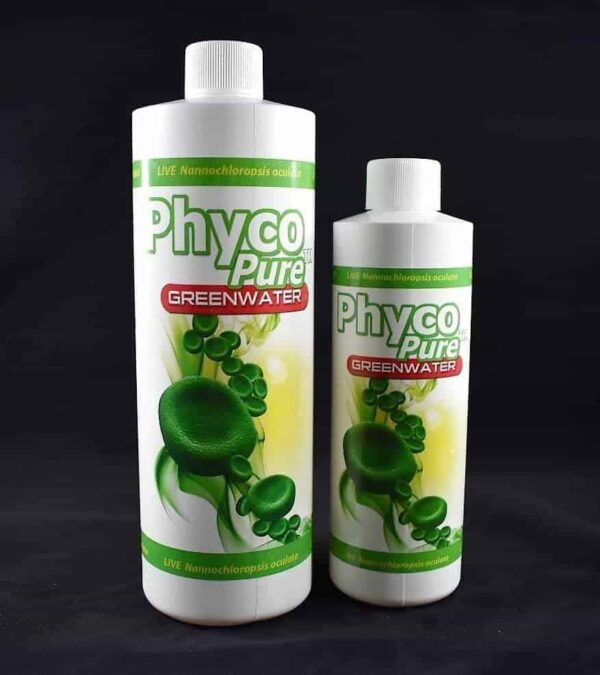 AlgaGen - PhycoPure Green Water  - Live Feeds - Image 1