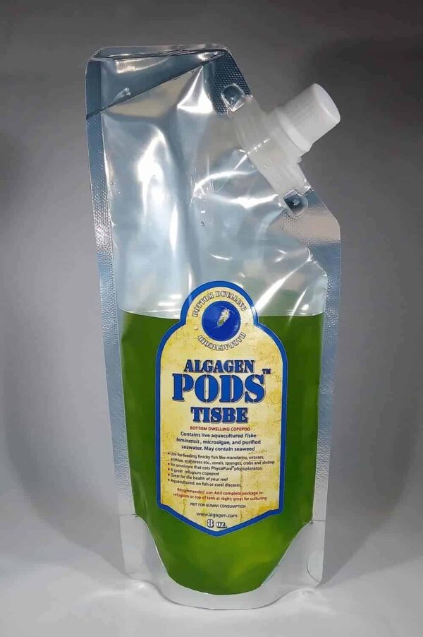 AlgaGen - Tisbe - Live Copepods - Image 1