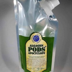 AlgaGen - Apocyclops - Live Copepods