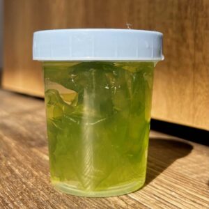 Ulva Sea Lettuce Portion - Macro Algae