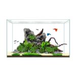 CLEAR 10 Gallon Mini (19.68 x 9.84 x 11.81) - Waterbox - Image 2
