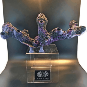 12 Hole Long Magnetic Branch Display