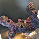 12 Hole Long Magnetic Branch Display - Image 2