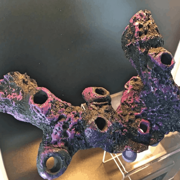 12 Hole Long Magnetic Branch Display - Image 2