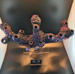 12 Hole Long Magnetic Branch Display - Image 3