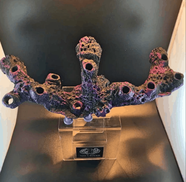 12 Hole Long Magnetic Branch Display - Image 3