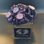 9 Hole Coral Sandbed Display