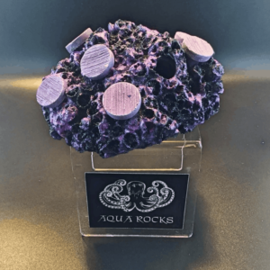 9 Hole Coral Sandbed Display
