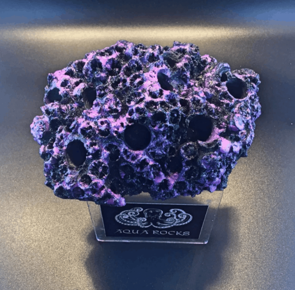 9 Hole Coral Sandbed Display - Image 2