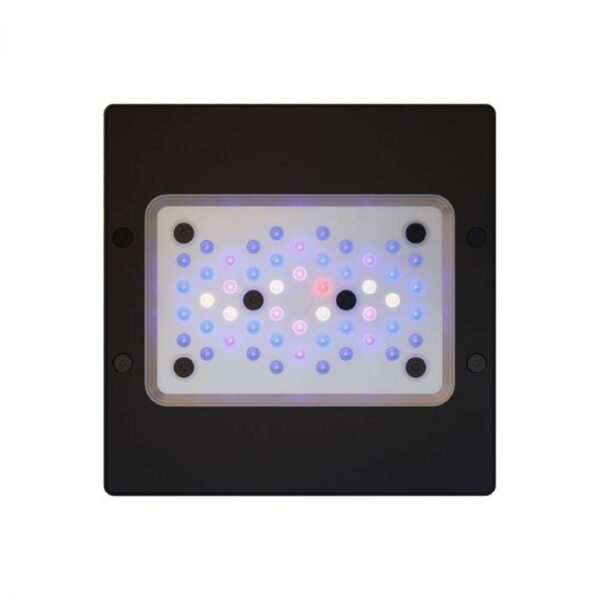 Radion XR15 G6 Blue LED Light Fixture - Image 1