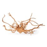 SR Aquaristik Spider Wood - Image 3