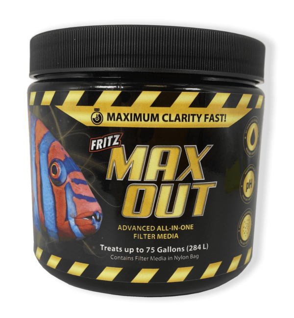 MaxOut - Image 1