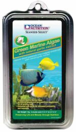 Green Marine Algae