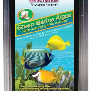Green Marine Algae
