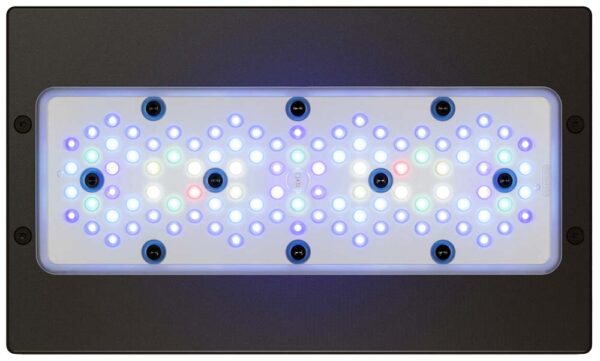 Radion XR15 G5 Blue LED Light Fixture - Image 2