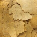 Piscine Energetics PE Mysis Flake Food - Image 2