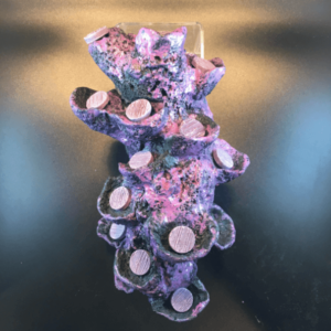 15 Hole Vertical Frag Rock Display