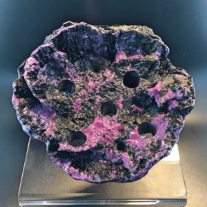 5 Hole Magnetic Frag Rock Montipora