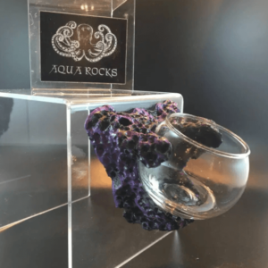 Magnetic Mushroom and Anemone Rock Display