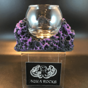 Anemone/Mushroom Sandbed Display