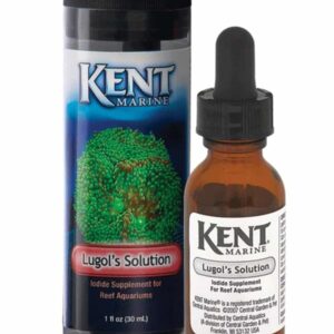 Kent Marine Lugol's Solution Bottle Iodine