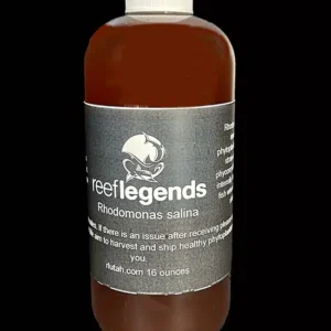 Rhodomonas salina for culturing