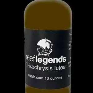 Tisochrysis lutea (T-iso)