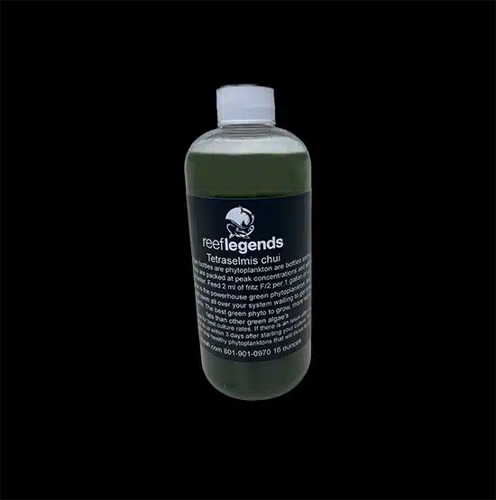 Tetrachuii16_6afdf60c-8729-458e-93b6-5a3353254314.webp Tetraselmis Chui for Culturing - Image 1