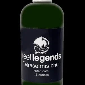 Tetraselmis Chui