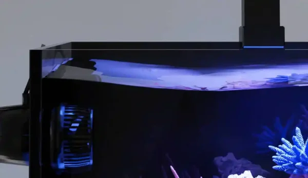 Crystaline G2 - Show Kit - Image 3