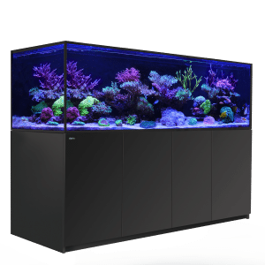 Reefer-S G2+