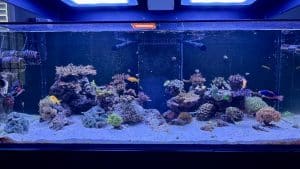 John T’s Waterbox
