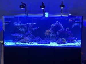 Reefer 625XXL