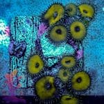 Nuclear Death - Image 10