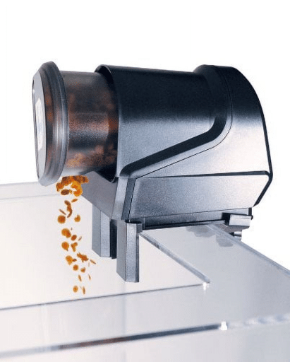 Intellifeed Fish Feeder (Pack of 1)