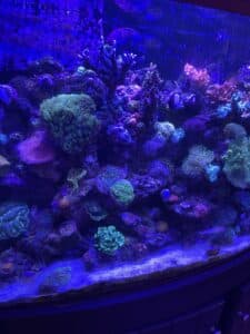 Main tank